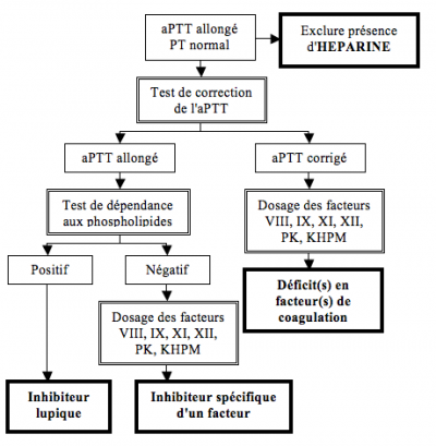 Allongement isolé de l'APTT