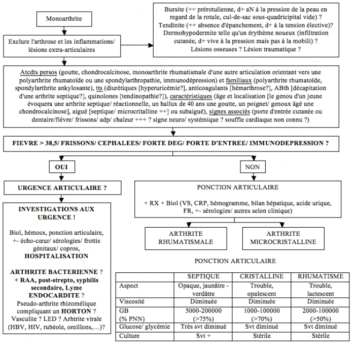 Mono-arthrites