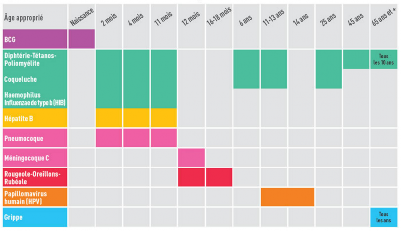 Calendrier vaccinal français (Ministère de la santé, 2015)