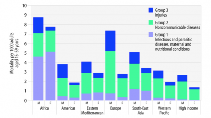 Grandes causes de mortalité chez les hommes et femmes de 15 à 49 ans par régions (OMS, 2008)