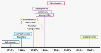 Etapes de découverte des grandes classes d'antibiotiques