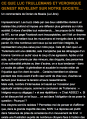 Vignette pour la version du 28 décembre 2016 à 23:52