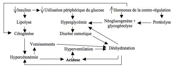 Acido-cétose diabétique - étiopathogénie