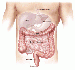 Gastro-entérologie