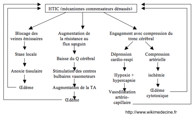 Hypertension intracrânienne - physiopathologie et cercles vicieux