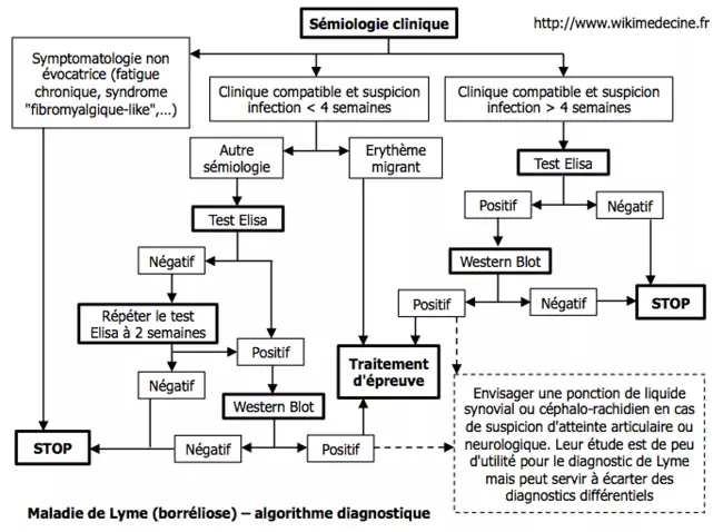 Maladie de Lyme (borréliose) - algorithme diagnostique