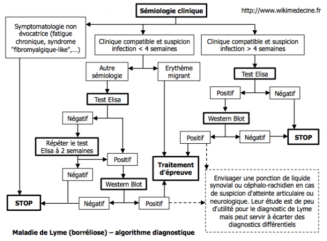 Maladie de Lyme (borréliose) - algorithme diagnostique