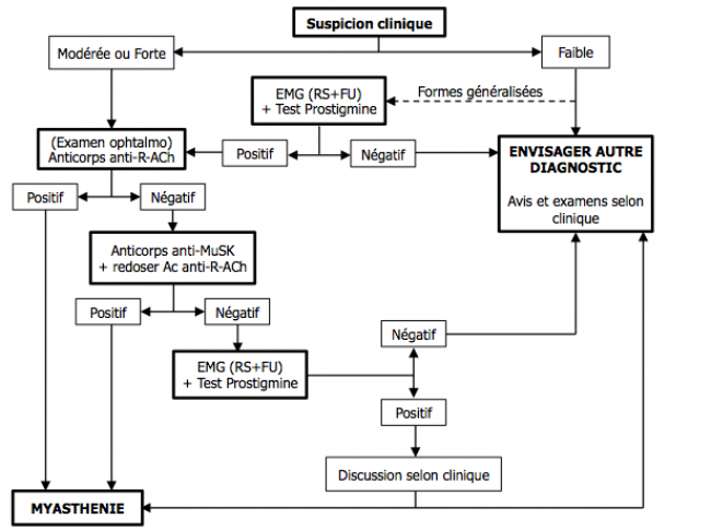 Myasthénie - diagnostic