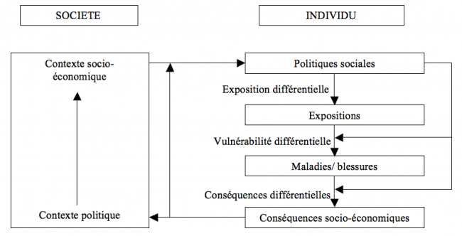 Santé individuelle et santé publique