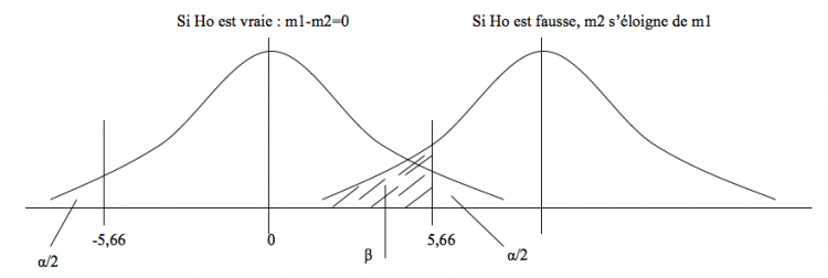 Types d'erreurs statistiques : erreur alpha et erreur beta