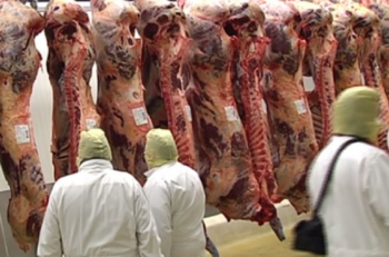 Les abattoirs Veviba